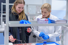 Uczestnicy Dnia Otwartego Wydziału Zarządzania podczas wartsztatów