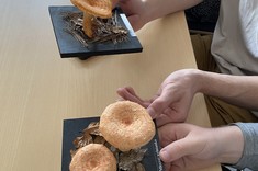 Warsztaty "Grzyby w aspekcie bezpieczeństwa żywności" dla studentów II roku Bezpieczeństwa wewnętrznego,