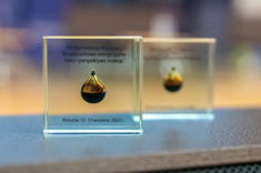 Statuetka "Kropelka ropy naftowej z Bóbrki" VII Konferencji Naukowej "Bezpieczeństwo energetyczne - filary i perspektywa rozwoju", fot. A. Surowiec