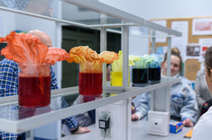 Nocne Spotkania z Nauką,