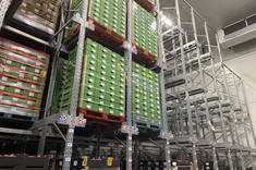 Wizyta studyjna studentów logistyki w nowoczesnym centrum dystrybucji firmy Amplus,