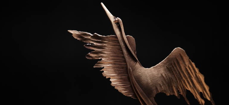 Źródło: nowiny24.pl