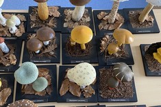 Warsztaty "Grzyby w aspekcie bezpieczeństwa żywności" dla studentów II roku Bezpieczeństwa wewnętrznego,