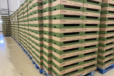 Wizyta studyjna studentów III roku kierunku logistyka,