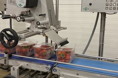 Wizyta studyjna studentów logistyki w nowoczesnym centrum dystrybucji firmy Amplus,