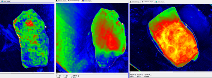 Stanowisko do badań tkanek, zwłaszcza tkanek gruczołu prostaty,
