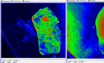 Stanowisko do badań tkanek, zwłaszcza tkanek gruczołu prostaty,