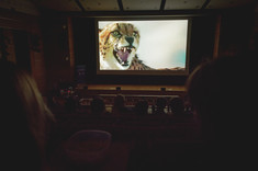 ADventure – Nocne Spotkanie z Reklamą (XXV edycja),